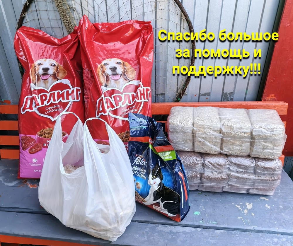 51RV8Fmel6tK1jF66CPzJb3TOL6NNCvdatCasXcY