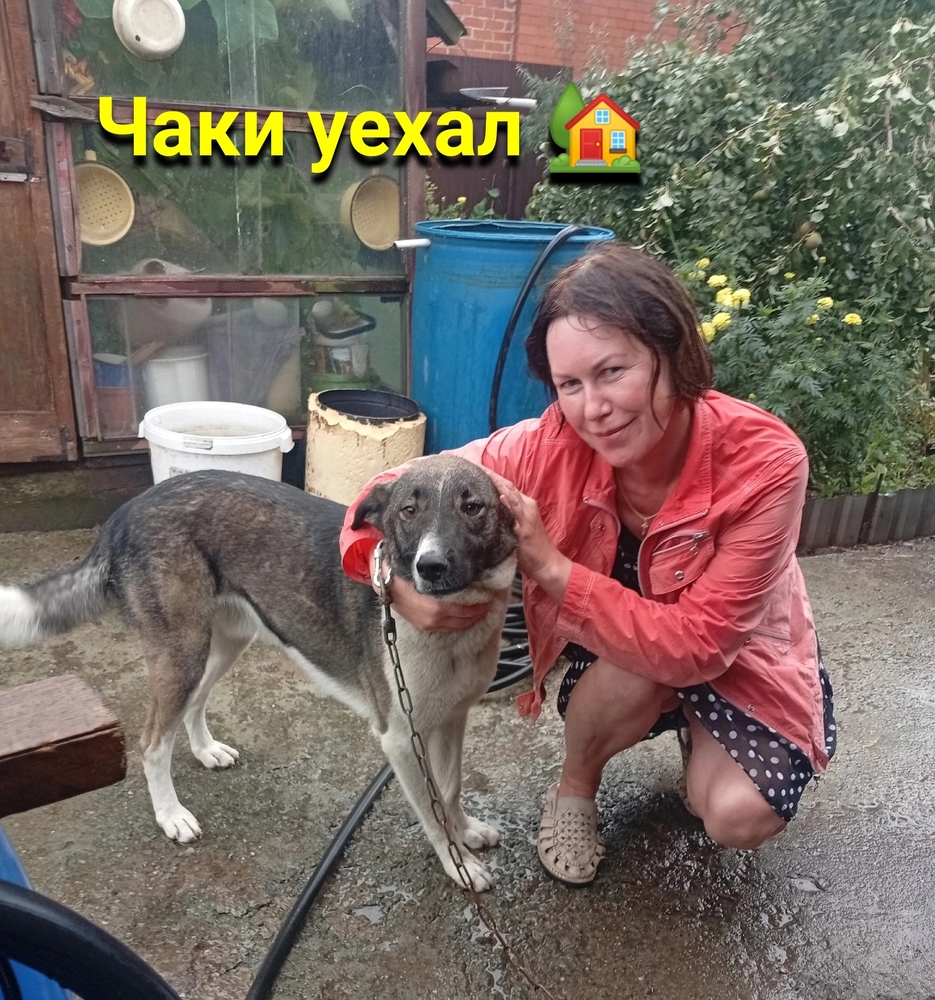 aicu7K92_lCbeNO57t2_gRm-yGly9UMMqMJ9OaK-
