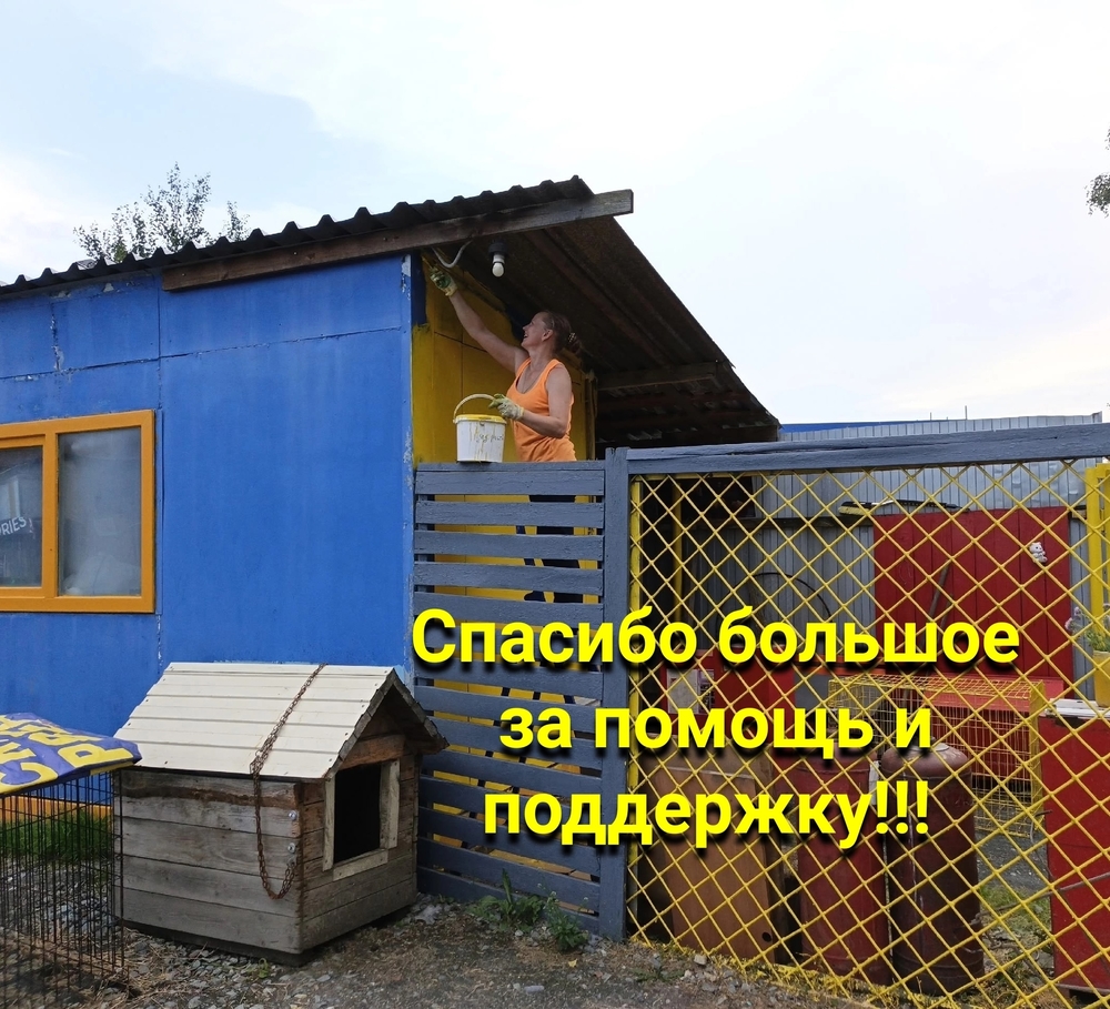 BI4xpPhrWlW429EU_GY58YScdHr2mBQgPVfA1CUC