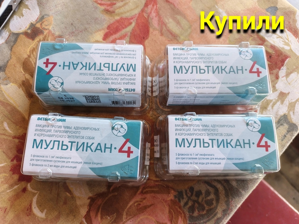 uye_SkK_OFnwtI8HzOhHlD2PVs0vzpA84u3CwMVA