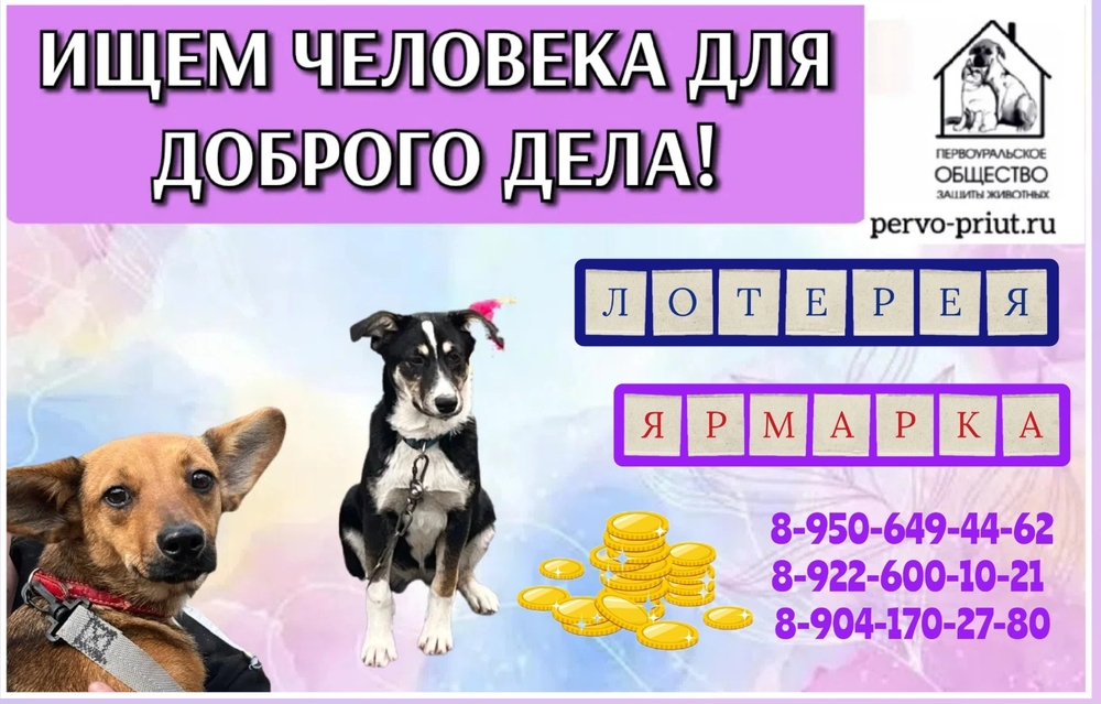 ooz4NN4tz5RWAnzw8gpqh6-lHQYowOFZToCnQGGR
