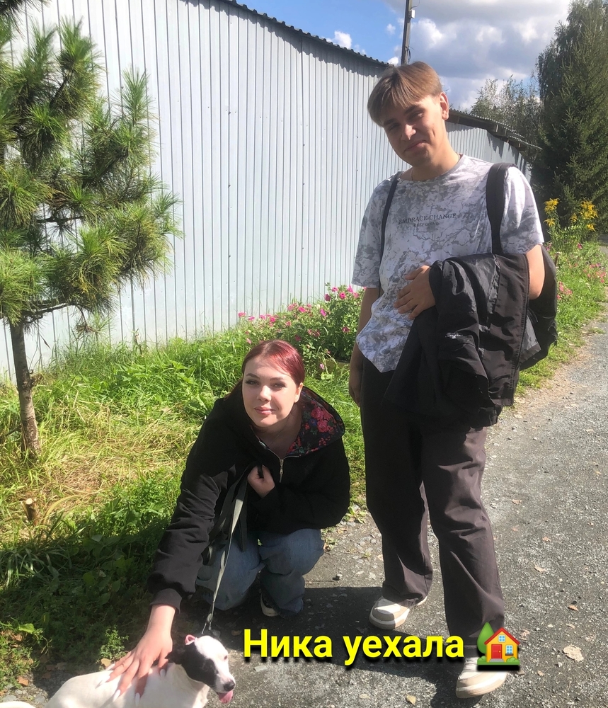 IRPGGtja1RPMUmuqhlP_s-e81xdTVWHe6n5eoSGK