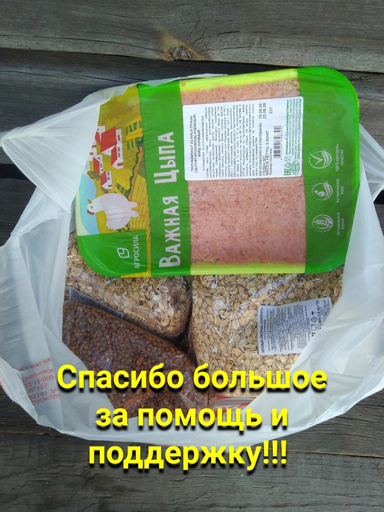 kYlQAOkPN4AcUPRn8TWpCfAVQpmtjN82CnwV7CmU