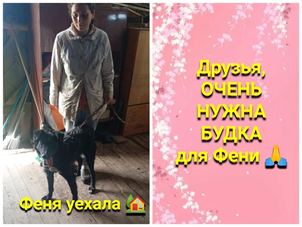VZ9v2YtfwjpJy8zaof5K8Js35MRBRlmtSaWHWfSU