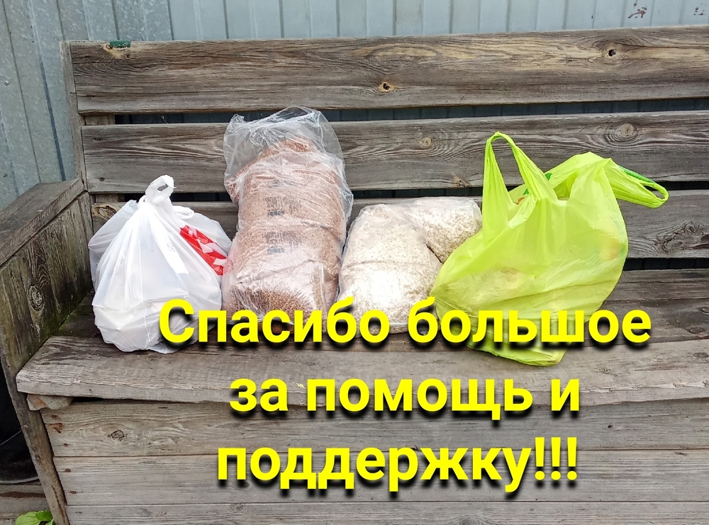 zOXKR1gLdggQeYX26yiEZmh2ZCgw6_RbCcEtgDk_