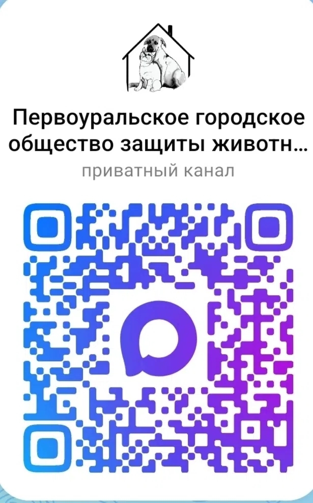 iqjT07w-32d721ihh6EEc5n4lk9doAIylFnkx7p7