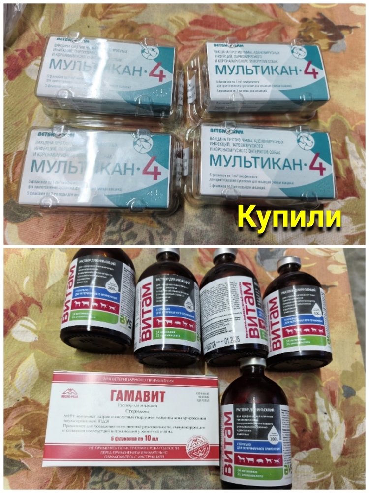 yT9kUfHVdT6nnu4lvFmgH6E5oM_z_QbMljpddBx1