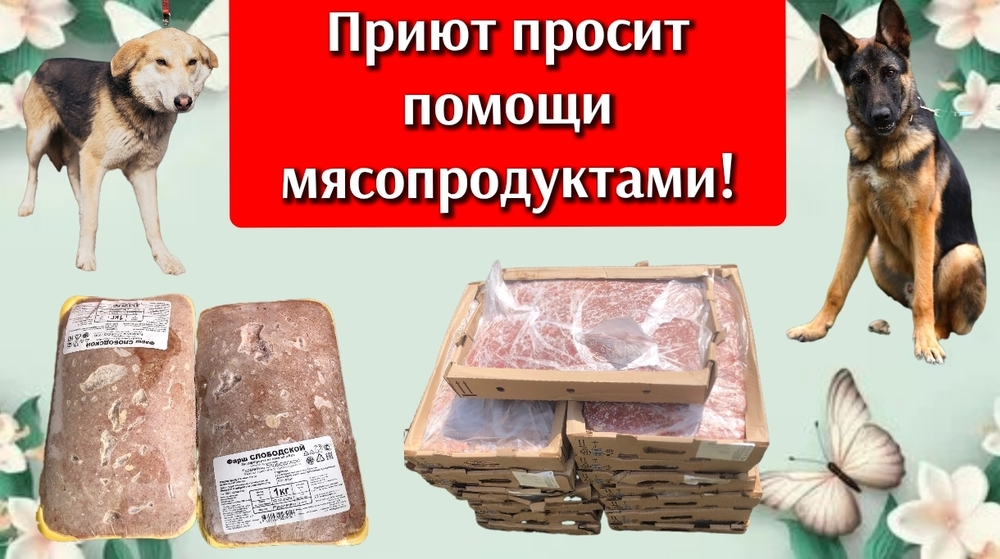 xnBTsF4wm5m8CEE5smRTCe_cR36qaUZYEtsfwVfc