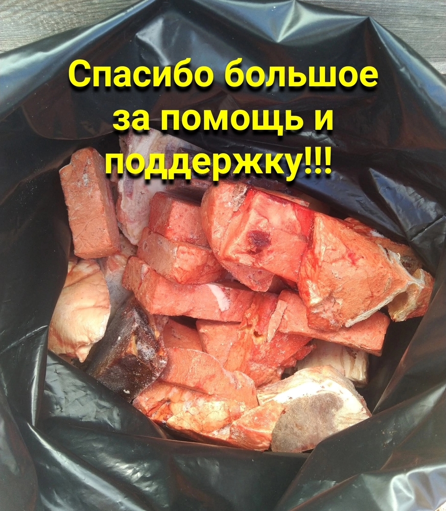 Sxa5W92u78rkI_U2lWdSV2EiZnIj8mkp2u6Js3LW