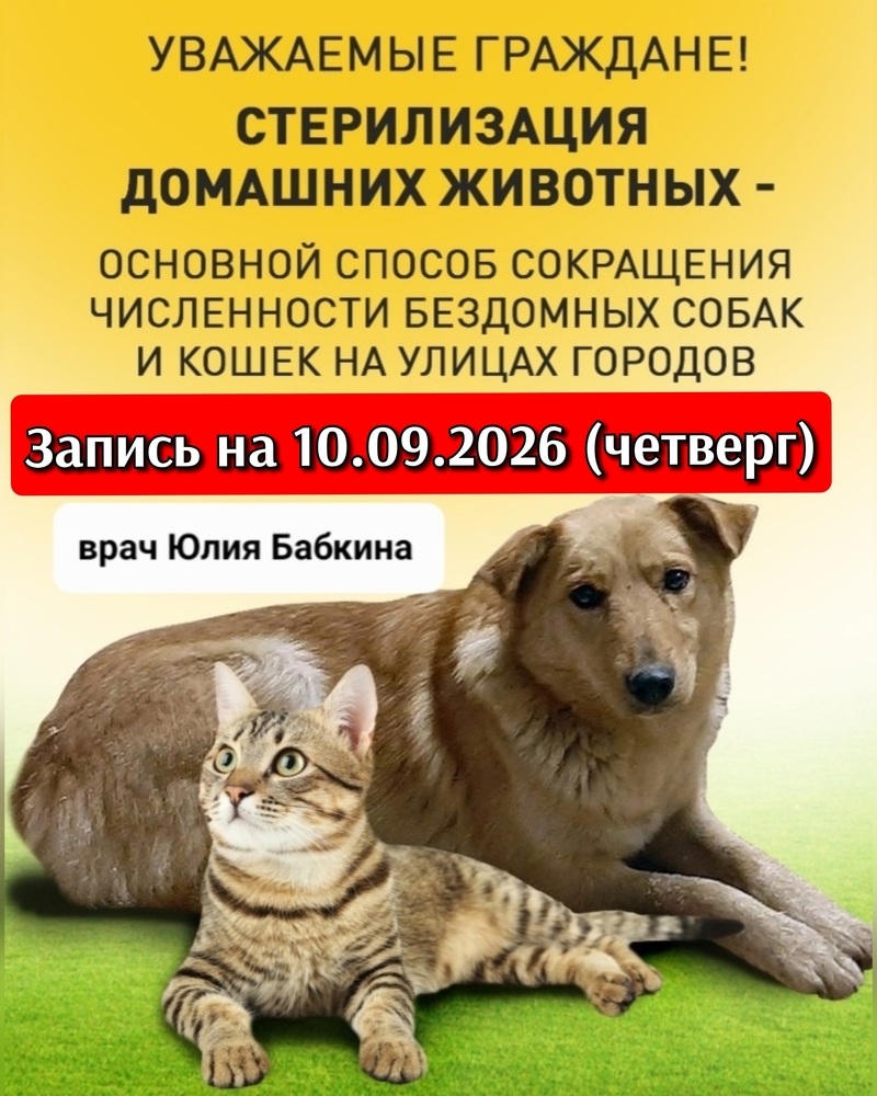 nWkkWnC8Ar6giQkTUMzUzsxUe8whZQDhLtJUn4vT