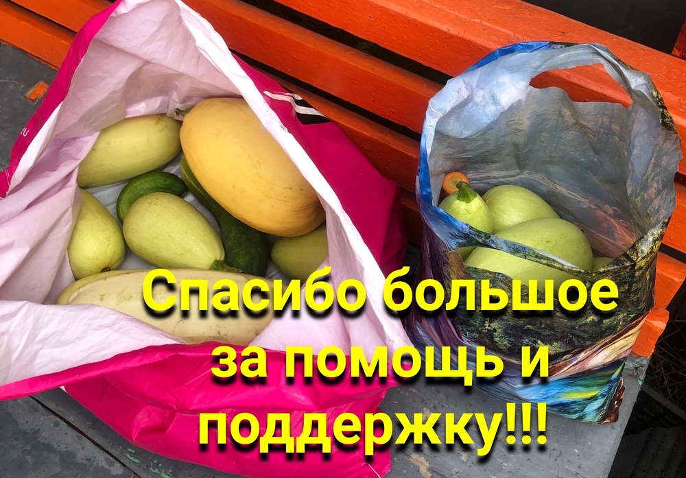 LkbZb4T12cXZwpd6k4cGgQoZwDZlQ3MGKrhP8XF9