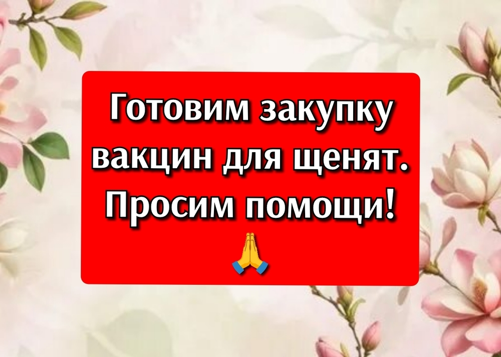 tMcAC9ZpaSzjg7CCo1nItNzAMe19FvcHheRIuaxG
