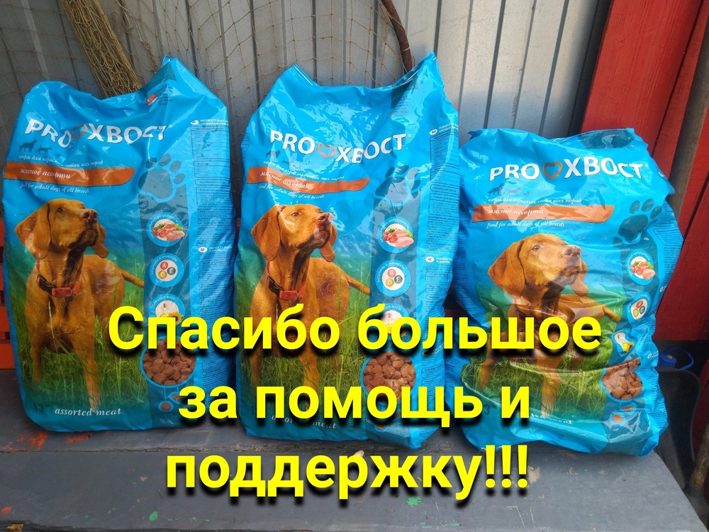 Lp-q-eawl0yvQrdhE7-4xbguikueNGO1Kk-VNybj