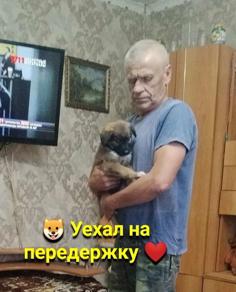 ZI8ulPww2Cxj1GIsoBBpnkmSab-VjtE8va1NX_Yo