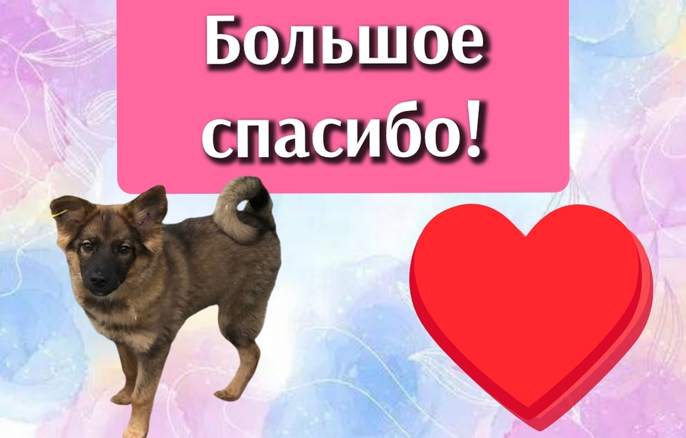 jnrlea1iUUAeqMAa4_GcrH84tJv2PeP-f6zhggUt