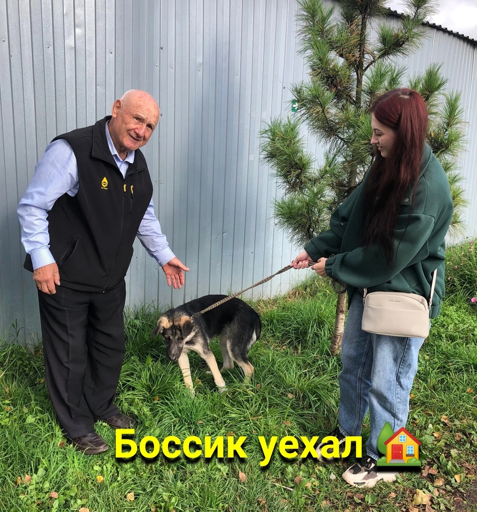 p93DNNz4YzFGOVn5zxyun91k32VmIx6qfb09FIDZ