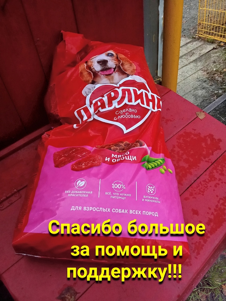 -6fD5jolXpTwYnPRTucKJxHsk8OMDZp6rfbmVnUt