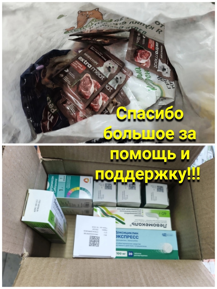RoI5uasWwEDouSE1uQNHcpvf3VxzjpnLgRKeB8Vx