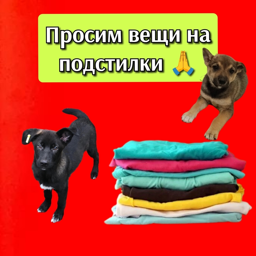 oNoBZQEkRmdRt7Ftmgu0ThsPTsH9M2FGfRx2YFym