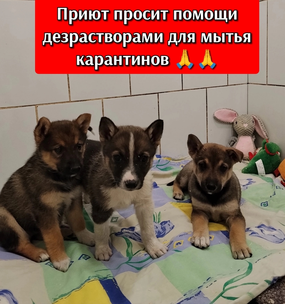 3sUbkXTaK4KUNMBM9bjAkdwjbaUdMmTmHpZu5J35