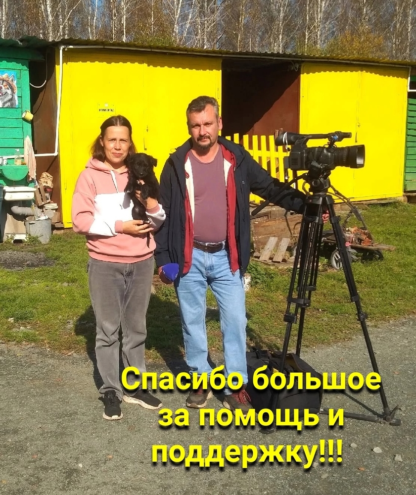 d6HwYRmVkAAdN2YSZp6CIdliHWvXa78T8Yxpr5XS