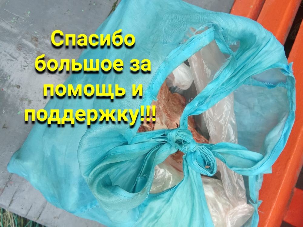 mzqNCvb16bHthXGAEKY8NuwYg11xakYFL_U1Kp3y