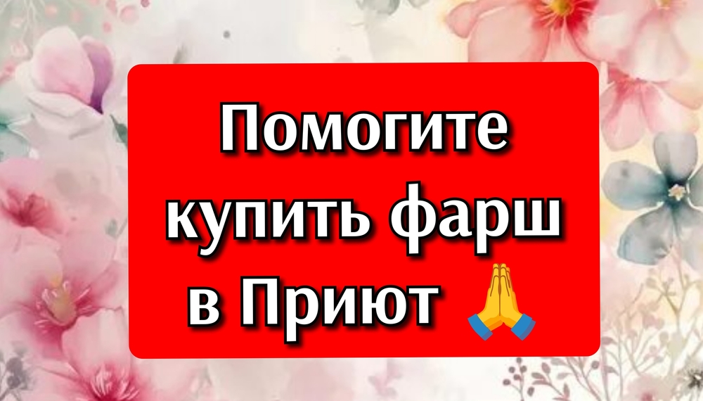 aZUsJqvWEixuBTTyTmlHL1jh2UgvBz7UwgsXIHrZ