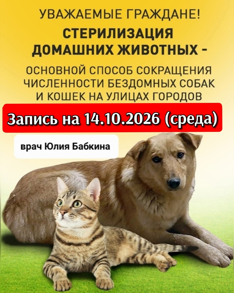 vwjvwhnCgIwIt88ri6oBRqtTBtd3i7ah0DH_GNWZ