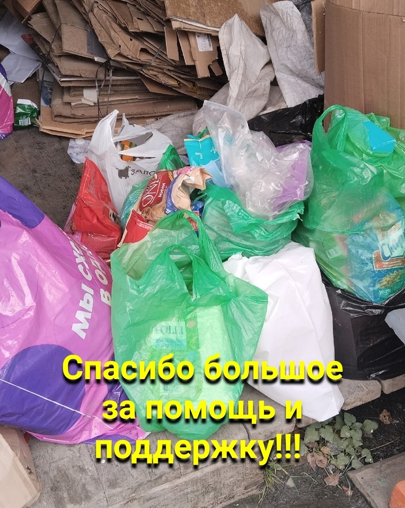 35hU1IdY5v2zwPW-FJM_B1KxzwofmOiyI5Pl1p0C