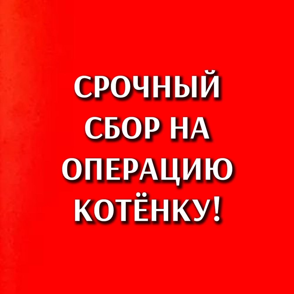 aejcojqUpxlzRJqxjKwaXQcKSDEJjz8y7p_E_Pnn