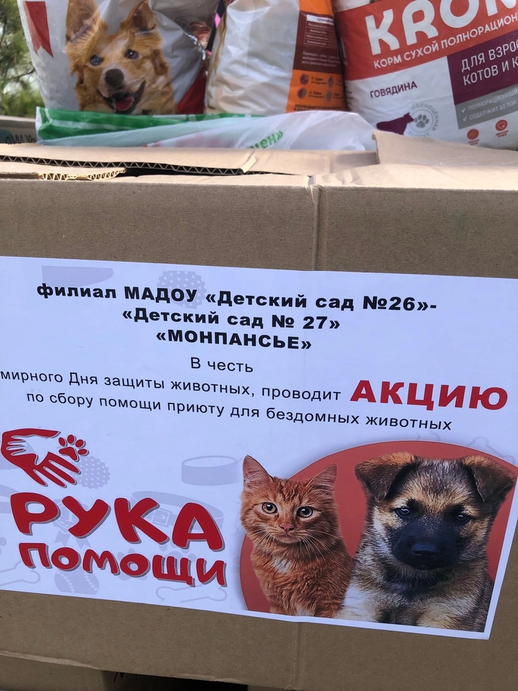 KjwIzOAHiS8NMH11TAxNRwS8g-97Amc11QjnxA63