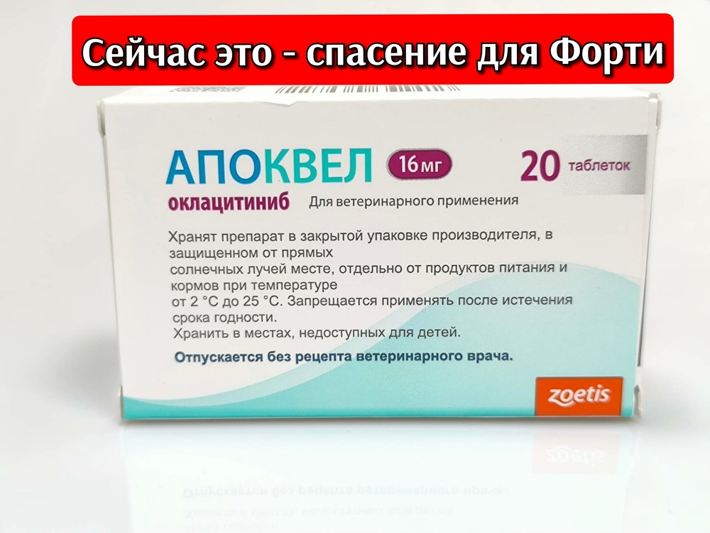 V31jjtu7YPPkaFJn_c-CSa6l9rNXw9-4rgTEX5Lo