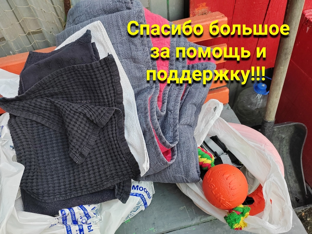 MKf9LwPx2zWk-kqDvbJbD0eGsFvE_8FHXbLl80qb