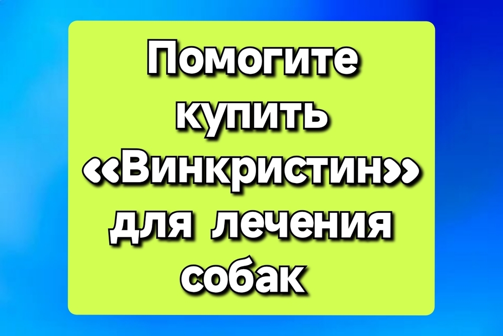 hFhZ2Br3Wk7U7ef3v0OyVFjWshLtHpy9EQ569PTl