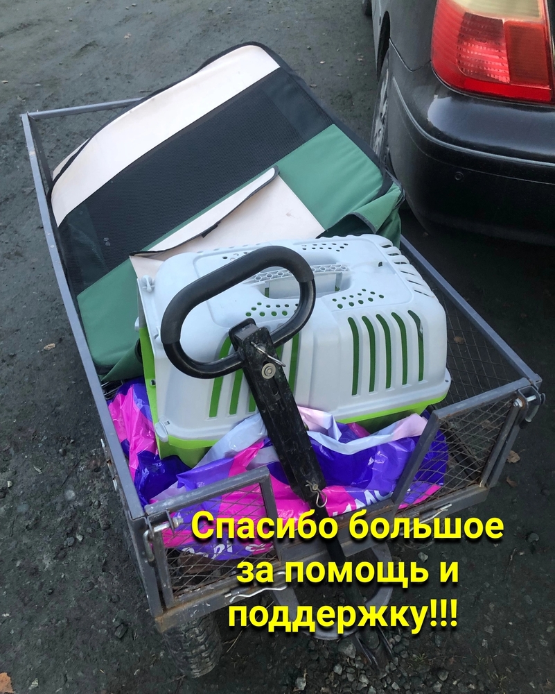 npjTjZY7teJ_xMJhoUYiOe2DLuneOgwmLY2XLo57
