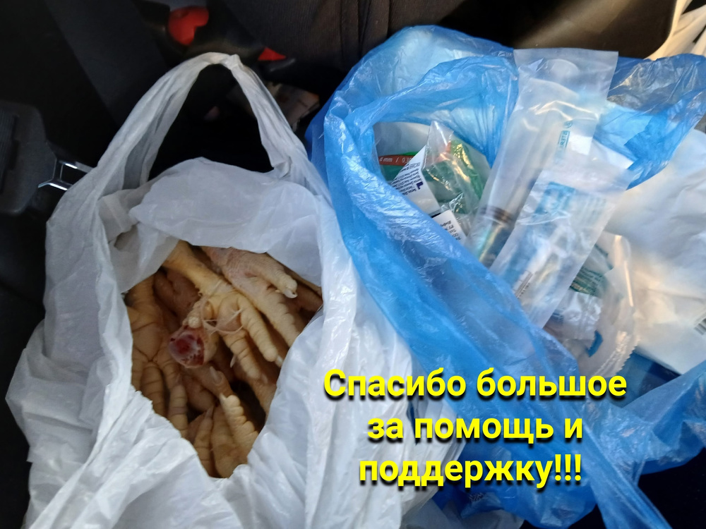 8mIWNuEHqYQtT21amRtS0chB_DoFZkaQisiSWYSQ