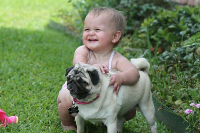 babyandpug