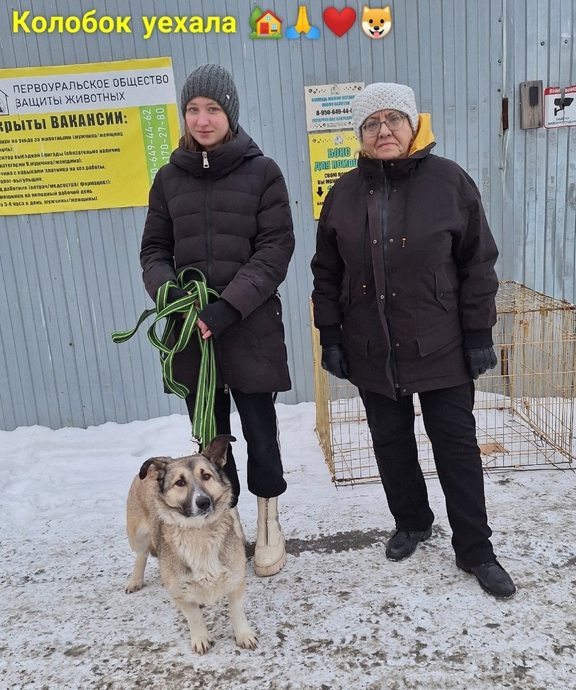 23.01. - 24.01.2024 - Первоуральское Городское Общество Защиты Животных